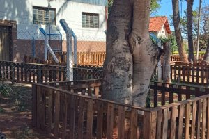 NOSSO MUNDO EM FOTOS